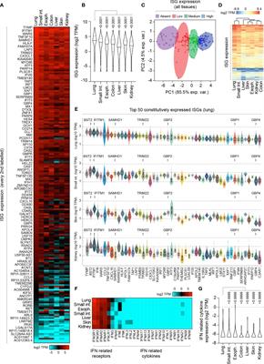 Constitutive TRIM22 Expression in the Respiratory Tract Confers a Pre-Existing Defence Against Influenza A Virus Infection